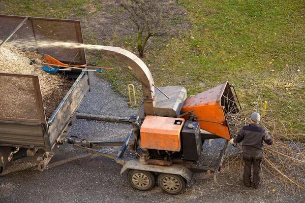 Professional Tree Care by Miller’s Tree Service Reliable Local Experts