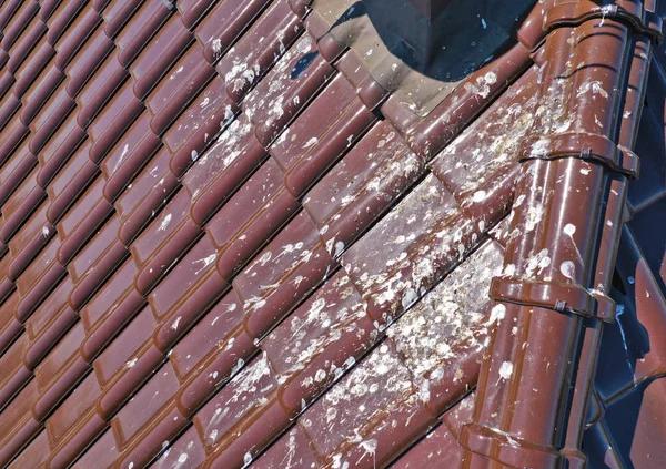 Trusted Roofing Services in Vista for Roof Repairs